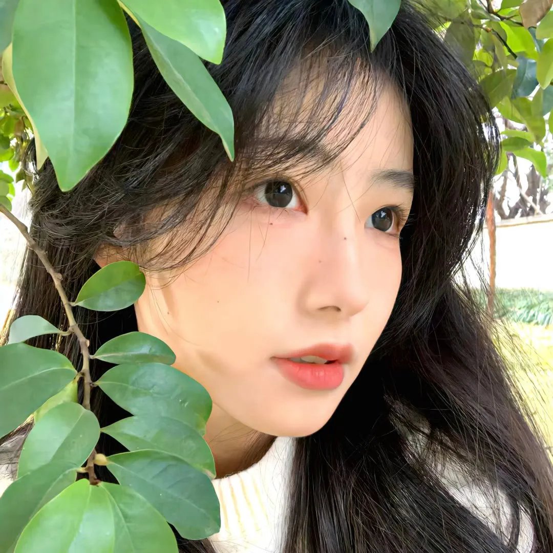 女王之花